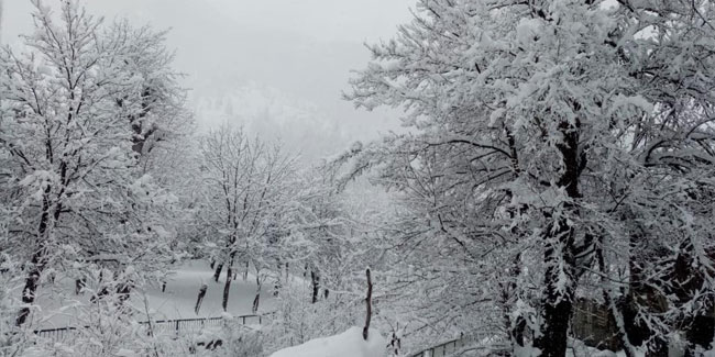 Sakin şehir Şavşat’tan kar manzaraları