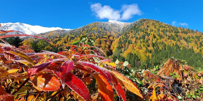 Kaçkar Dağları'nda iki mevsim bir arada yaşanıyor