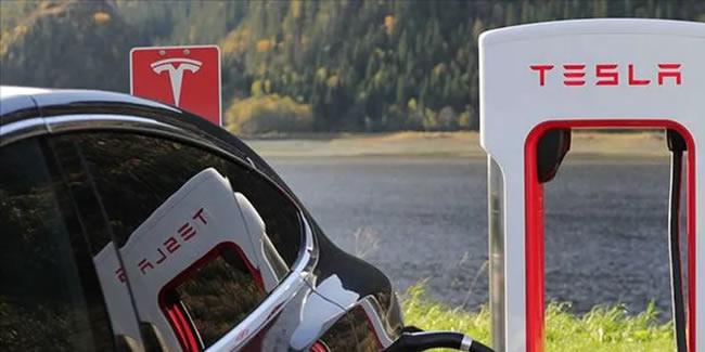 Tesla için ağaçlar kesilmeye başladı