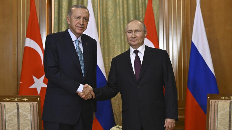 Gözler Erdoğan - Putin görüşmesinde