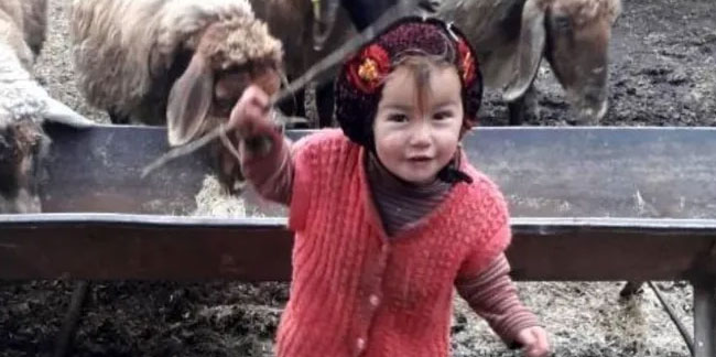 Müslüme ile ilgili akılları karıştıran iddia; Boyun kısmında dedesine ait DNA bulundu!