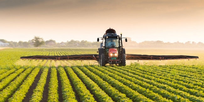 Tarım-GFE yıllık yüzde 40,20 arttı