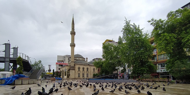 Trabzon'un Akçaabat ilçesinde meydan güvercinlere kaldı