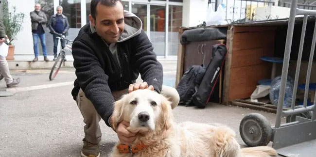 Karadeniz'de ilginç olay! Köpek doktora havladı, sahibi 700 bin TL ceza yedi