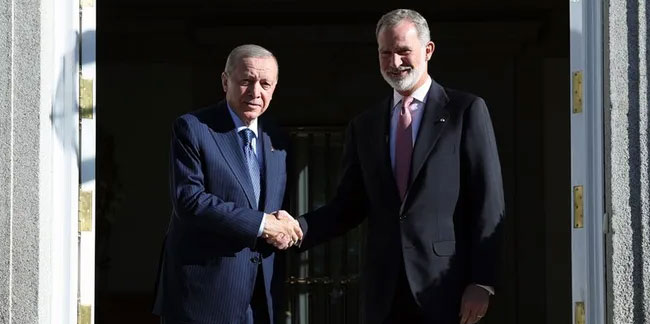 Erdoğan, İspanya'da Kral 6. Felipe ile görüştü!