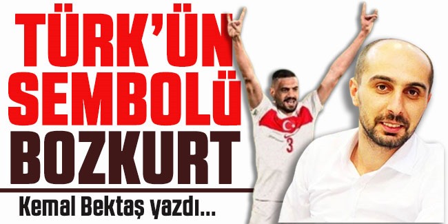 Türk'ün sembolü Bozkurt