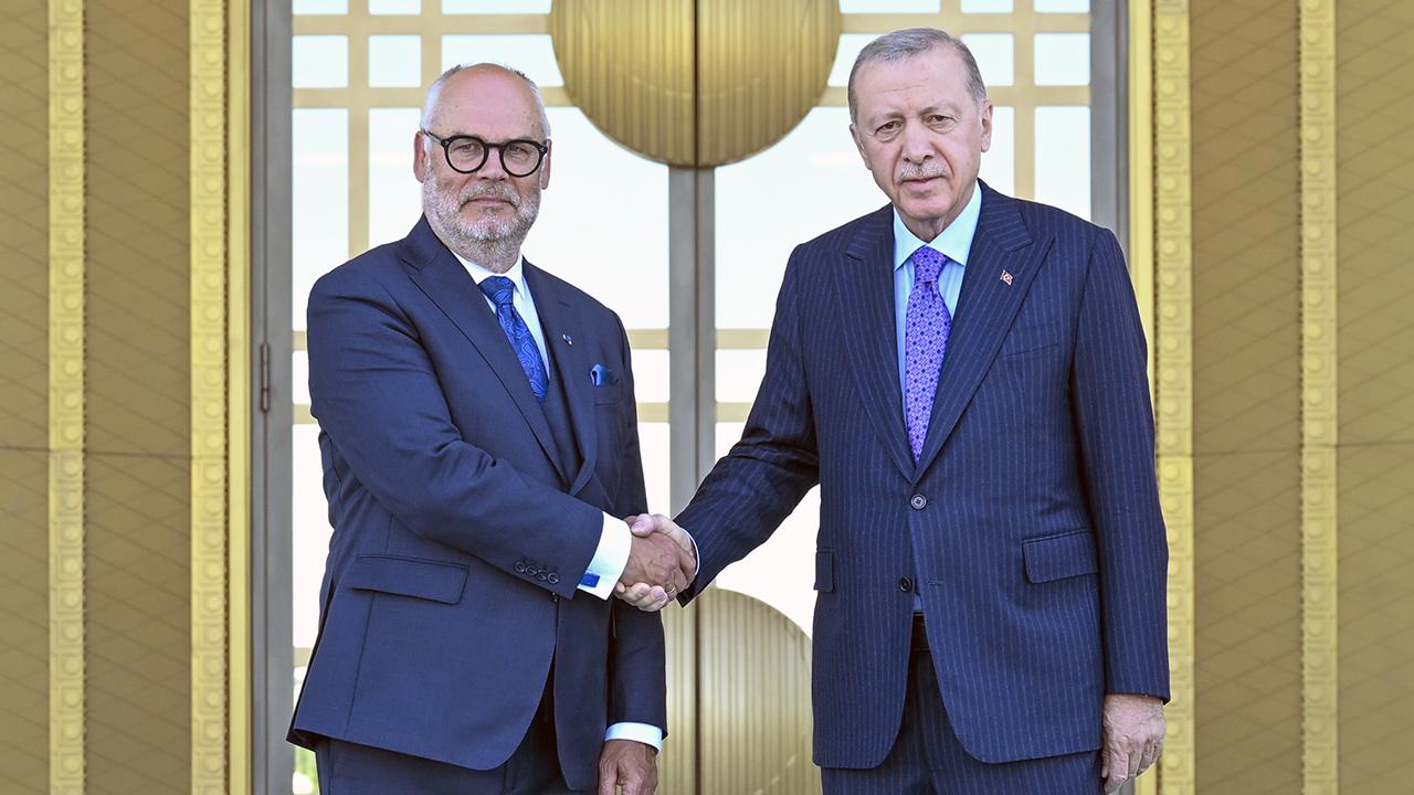 Estonya Cumhurbaşkanı Karis, Ankara'da