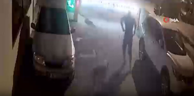 Artvin'de sokak köpeği vatandaşa saldırdı! İşte o anlar