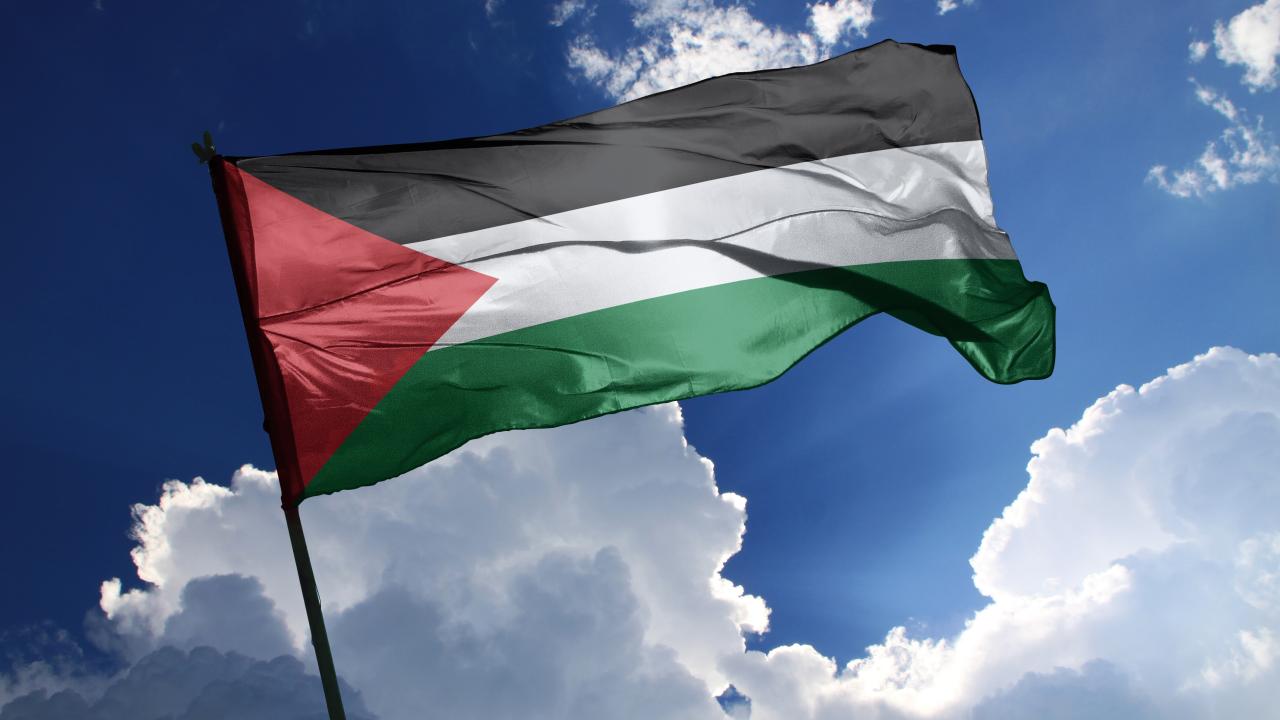 BM raportörleri: Tüm ülkeler Filistin devletini tanımalı