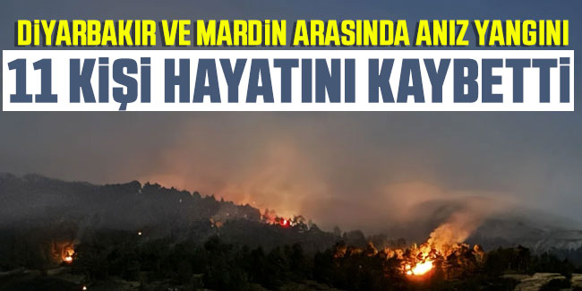Diyarbakır'daki korkunç yangında ölü sayısı arttı! Bakan Koca'dan açıklama