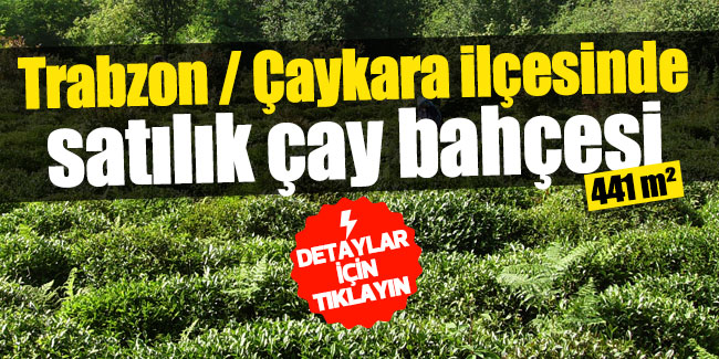 Trabzon Çaykara ilçesinde 441m² çay bahçesi satılacaktır
