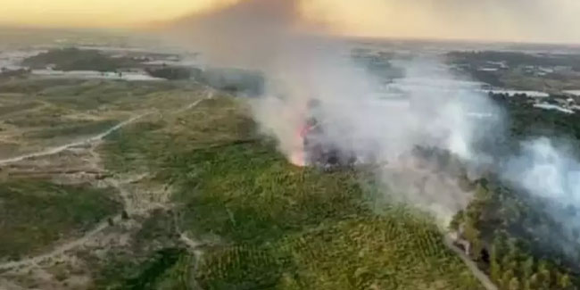 Antalya'da bir orman yangını daha!