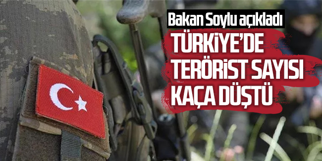 Türkiye'deki terörist sayısı kaça düştü?