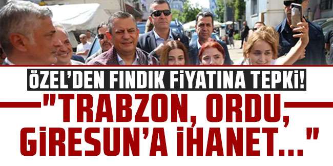 Özel'den fındık fiyatına tepki! "Trabzon, Ordu, Giresun'a ihanet..."