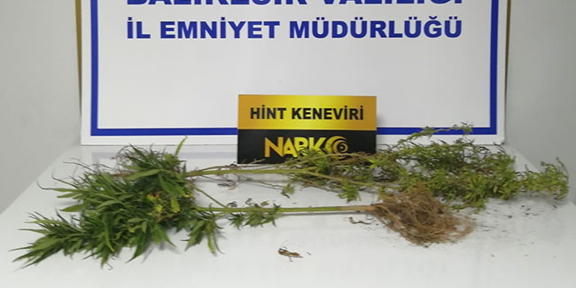 Balıkesir'de polisten 31 şahsa gözaltı