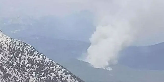Antalya'da orman yangını! Ekipler müdahale ediyor