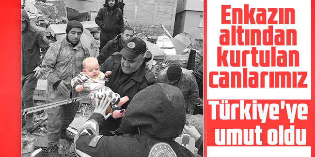 Enkazın altından kurtulan canlarımız...
