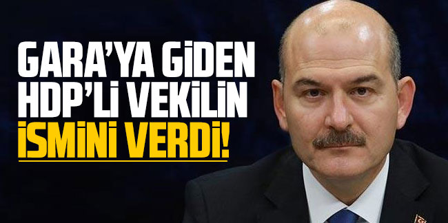 Bakan Soylu Gara'ya giden HDP'li vekili açıkladı!