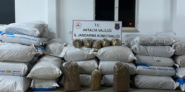 Antalya’da 113 yem çuvalı dolusu kaçak tütün ele geçirildi