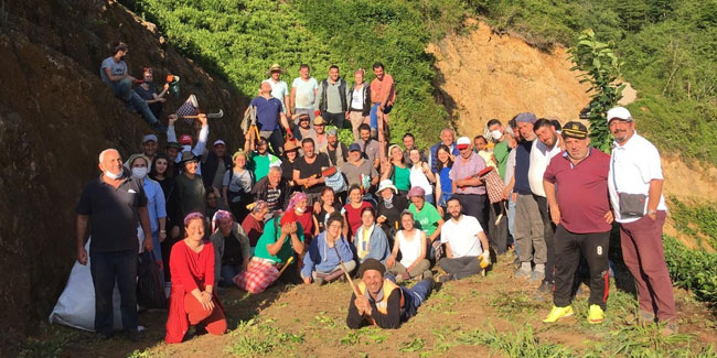 Rize'de çay toplana seferberliği