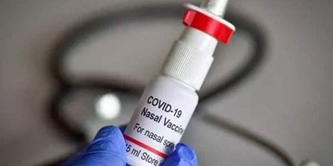 Yerli sprey aşıda "mutant virüs" ayrıntısı