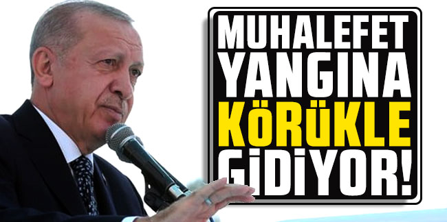 Cumhurbaşkanı Erdoğan: ''Muhalefet yangına körükle gidiyor''