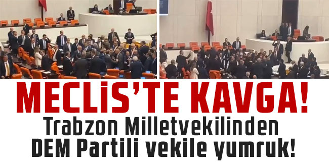 TBMM Genel Kurulu'nda Kavga! Trabzon Milletvekilinden DEM Partili vekile yumruk!