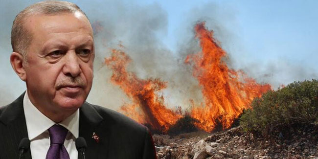 Cumhurbaşkanı Erdoğan açıkladı: Yangın yerleri afet bölgesi ilan edildi
