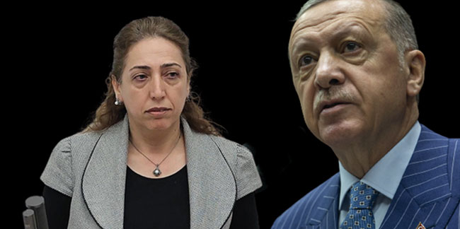 Erdoğan'dan polisi yumruklayan Aydeniz'e: Meclis üzerine düşeni yapar