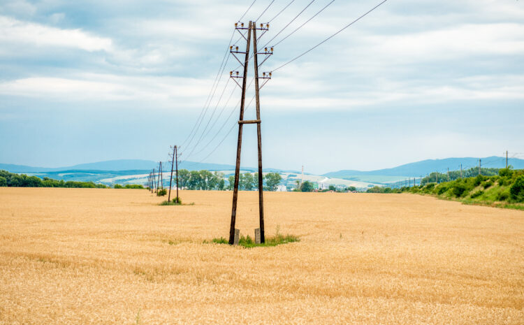 Tarlada elektrik akımına kapılan genç hayatını kaybetti