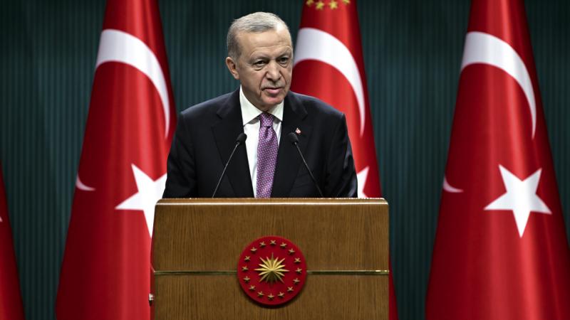 Cumhurbaşkanı Erdoğan, Pakistanlı mevkidaşı ile görüştü