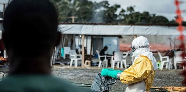 Ekvator Ginesi'nde Marburg virüsünden 12 can kaybı