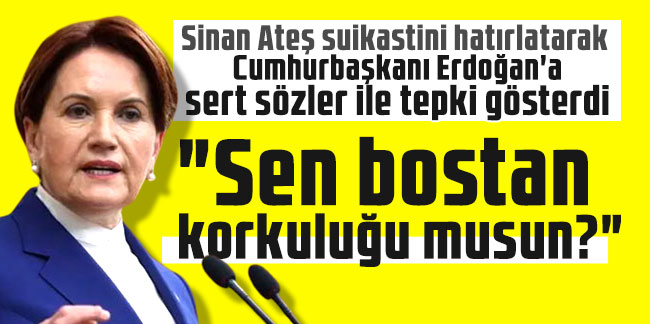 Meral Akşener'den Erdoğan'a: "Sen bostan korkuluğu musun?"