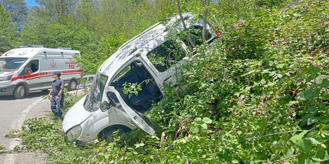 Sis Dağı Yaylası yolunda kaza: 9 yaralı | Karadeniz Gazetesi