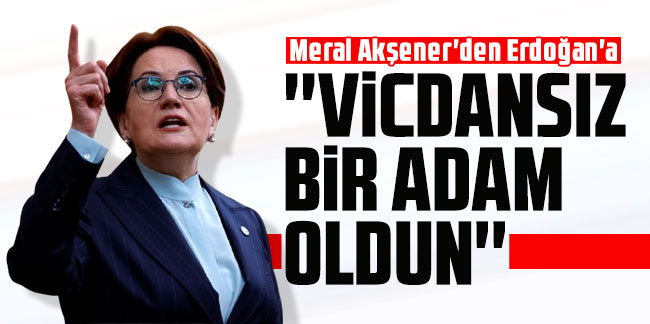 Meral Akşener'den Erdoğan'a: ''Vicdansız bir adam oldun''