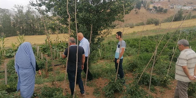 Başkan Pekmezci, üretim bahçelerinde incelemelerde bulundu