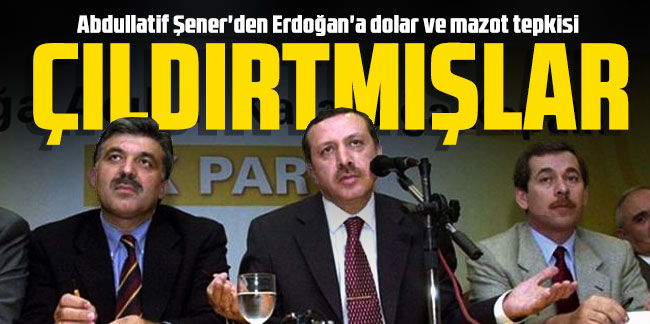 Abdullatif Şener'den Erdoğan'a dolar ve mazot tepkisi: Çıldırtmışlar