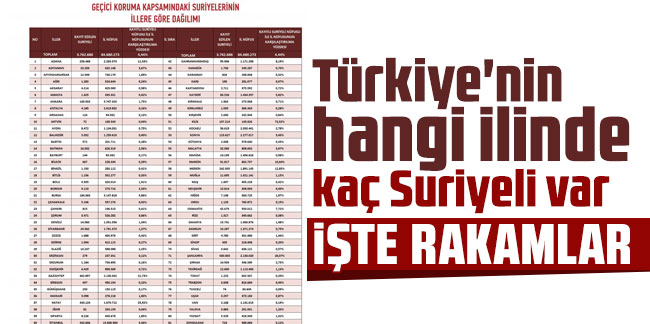 Türkiye'nin hangi ilinde kaç Suriyeli var: İşte rakamlar