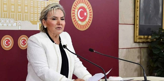 İYİ Parti'de bir istifa daha: Bir milletvekili daha istifa etti