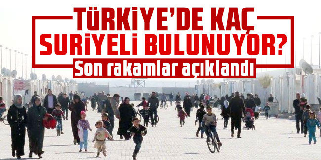 Türkiye'deki kayıtlı Suriyeli sayısı belli oldu!