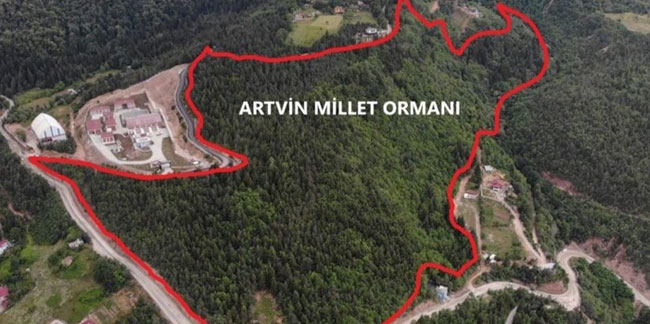 Artvin’de 10 Hektarlık alanda Millet Ormanı oluşturulacak!