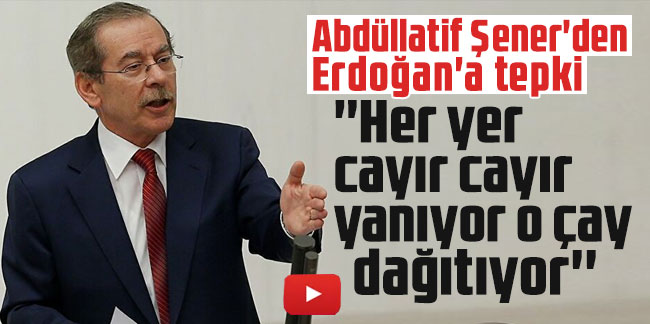 Abdüllatif Şener'den Erdoğan'a tepki: ''Her yer cayır cayır yanıyor o çay dağıtıyor''