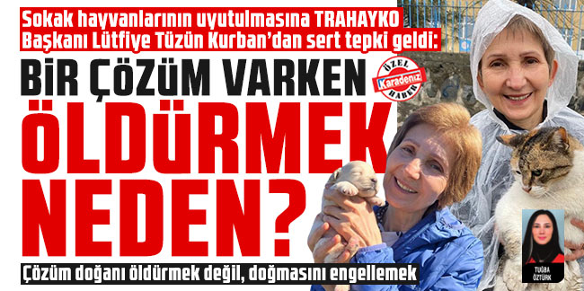 Trabzon Hayvanları Koruma ve Yaşatma Derneği Başkanı Lütfiye Tüzün Kurban: Bir çözüm varken öldürmek neden?