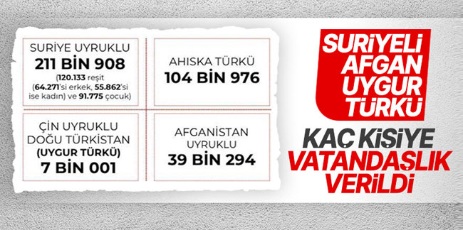 Türk vatandaşlığı kazananların sayısı yayınlandı