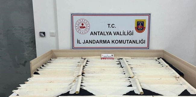 Antalya’da 1 milyon kullanımlık bonzai ele geçirildi, 1 kişi tutuklandı