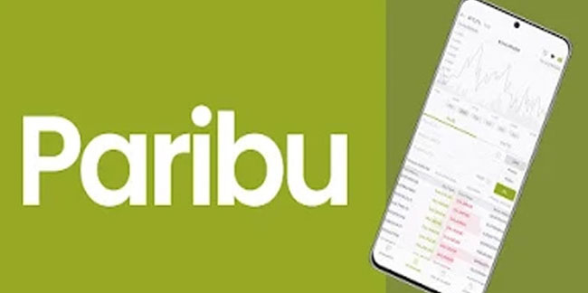 Paribu nedir, kimin? Paribu ne zaman kuruldu?