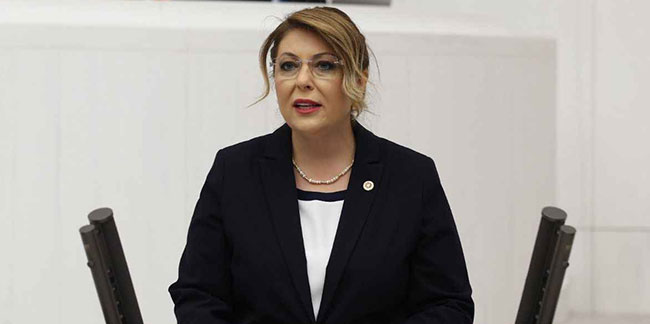 CHP Giresun Milletvekili Elvan Işık Gezmiş : Basın demokrasinin vazgeçilmez güvencesidir