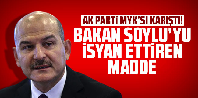AK Parti MYK'sı karıştı! Bakan Soylu'yu isyan ettiren madde