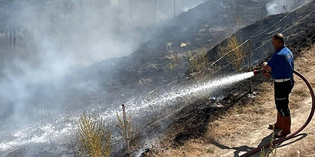 Ateşle oynadılar, 10 dekar alan kül oldu