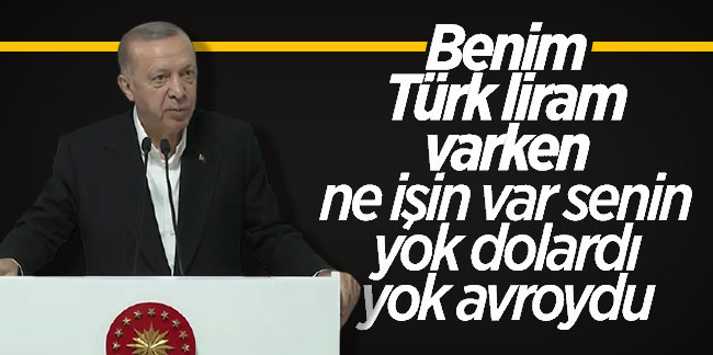 Cumhurbaşkanı Erdoğan: Yok dolardı, avroydu... Alışacaksınız buna!
